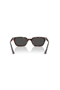 Ray-Ban RB4456 135987 53 Unisex Güneş Gözlüğü