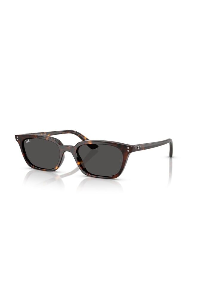 Ray-Ban RB4456 135987 53 Unisex Güneş Gözlüğü